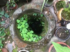 -恺庐茶园(宽窄巷子景区店)