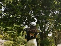 -东莞植物园