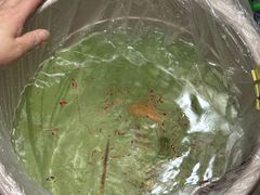 -西北轻工批发市场