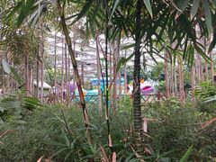 -南宫五洲植物乐园