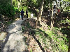 -上海佘山国家森林公园天马山园