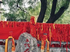 -大槐树寻根祭祖园