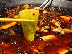 -靓蛙馆