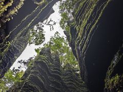 -梭布垭石林景区
