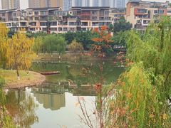 -沐仙湖湿地公园