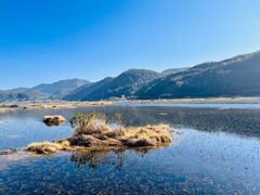 -腾冲北海湿地