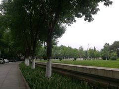 -北京国家会计学院