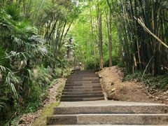 -凤栖山