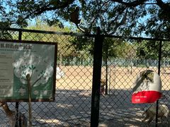 -北京麋鹿生态实验中心