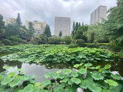 -郑和公园