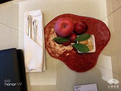 -常州武进九洲喜来登酒店