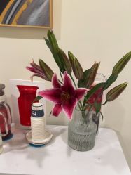 -海涛医疗美容·面部抗衰·注射美鼻