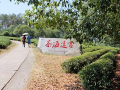 -凤凰沟景区