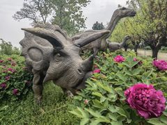 -盛世牡丹苑生态文化旅游区