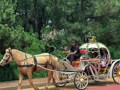 -南戴河国际娱乐中心