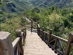 -大岭沟猕猴桃谷风景区