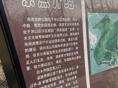 -白水寺森林公园