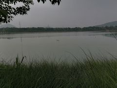 -羊山湖公园