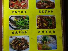 -风鑫铃罗非鱼(道沟店)
