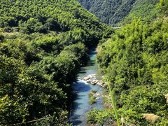 -芦茨金富饭庄·25年老字号·专做稻草鸡