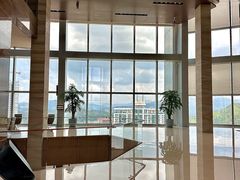 -君悦酒店·大堂酒吧·高空下午茶·暮色微醺
