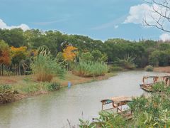 -上海长兴岛郊野公园