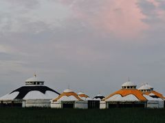 -张北坝上草原