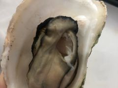 -宾朋海鲜特色美食餐厅·纯手工鲅鱼水饺(兴海路店)