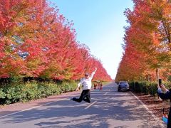 -南京枫彩漫城
