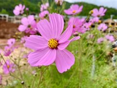 -丽江泸沽湖景区