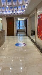 -碧莲盛·不剃发植发