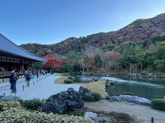 -西芳寺(苔寺)