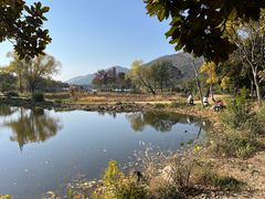 -长广溪湿地公园