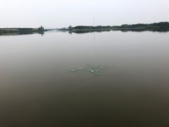 -西青郊野公园