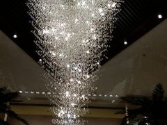 android_upload_pic-常州环球恐龙城维景国际大酒店