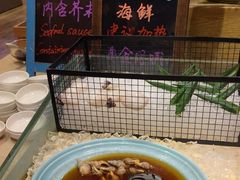 -长沙三景韦尔斯利酒店·Oval全日制餐厅自助餐