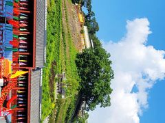 -梧州双钱龟苓膏(丽港航母店)