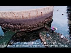 -ChanDu躔度咖啡(灯塔店)