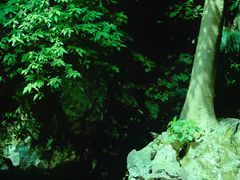 -灵隐飞来峰景区
