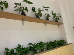 -憨老頭凉皮融合简餐(双山里店)