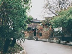 -运河游船(武林门码头)