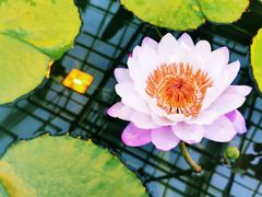 -国家植物园