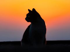 -有红鸡毛店·川菜(建设路店)