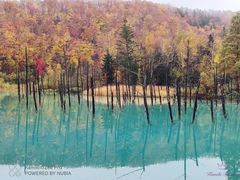 -青池