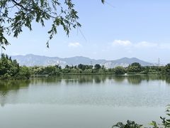 -翠湖国家城市湿地公园