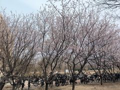 -河北工业大学(北辰校区)
