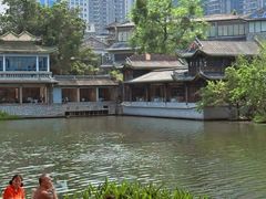 -荔湾湖公园