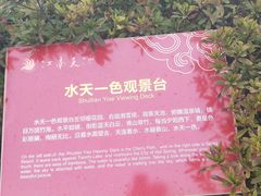 -江南天池