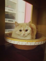 -齐伽生活馆·瑜伽·普拉提·阿育吠陀