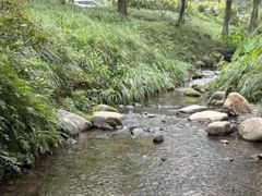 -杭州花家山庄